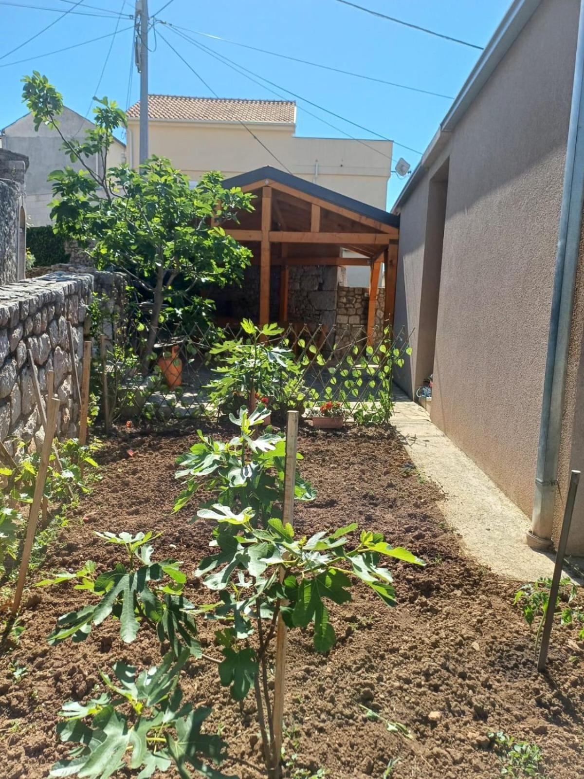 Apartmani Afrodita Crikvenica Kültér fotó
