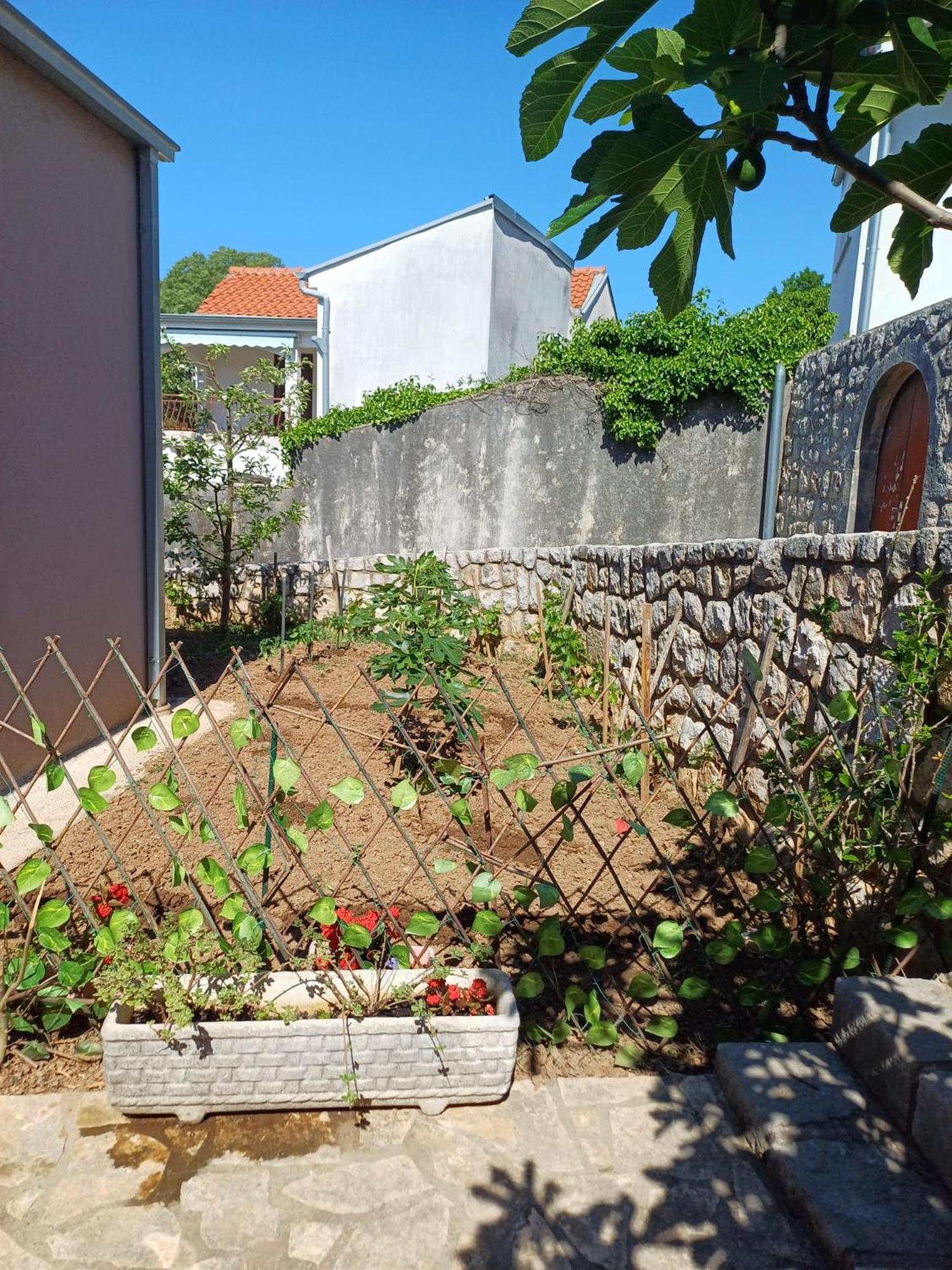 Apartmani Afrodita Crikvenica Kültér fotó